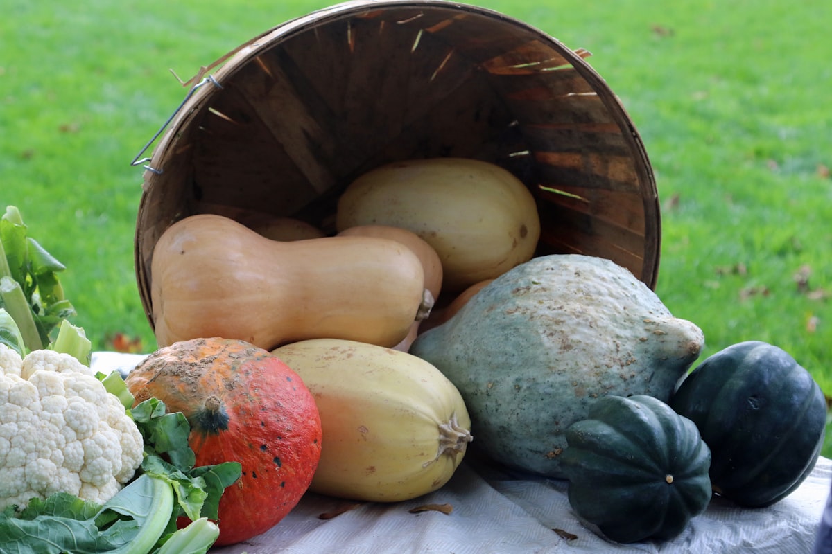 Wellnessfoodbalance voedingsschaal